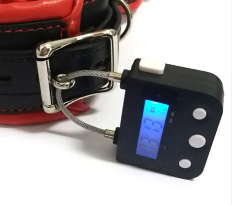 Timer Electronic Lock for Phones and Snacks